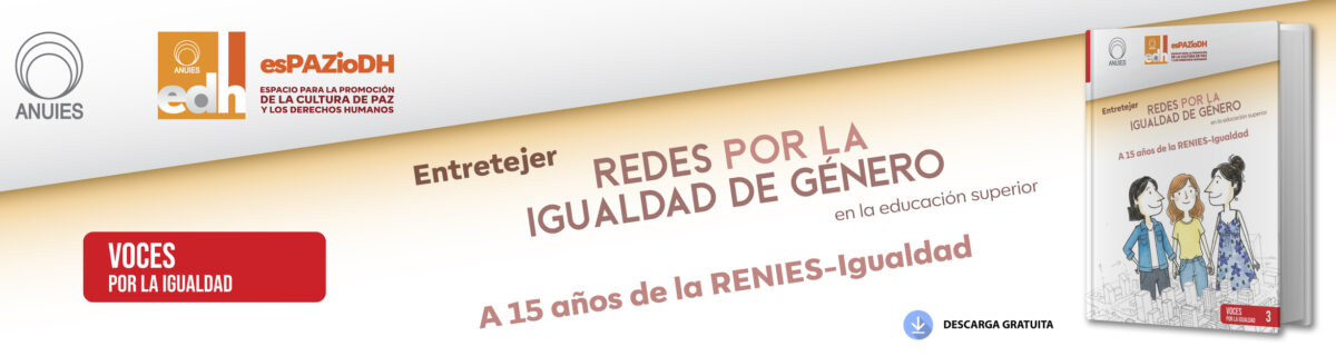 BANNER LIBRO 3 A 15 AÑOS DE LA RENIES IGUALDAD_Mesa de trabajo 1